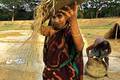Rahela Begum (40) aus Bangladesch drischt mit ihrem Mann die magere Reisernte. Seit das Klima verrückt spielt, trocknen ihre Felder regelmäßig aus oder werden überflutet. Quelle: www.oxfam.de